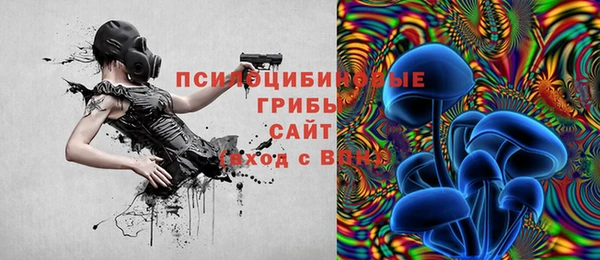 прущие грибы Дубна