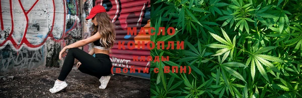дмт Пестово