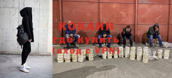 дмт Пестово