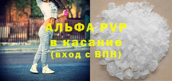 ПСИЛОЦИБИНОВЫЕ ГРИБЫ Вязьма