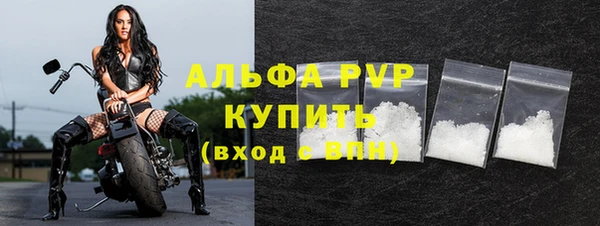 ПСИЛОЦИБИНОВЫЕ ГРИБЫ Вязьма