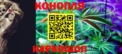 шишки Донской