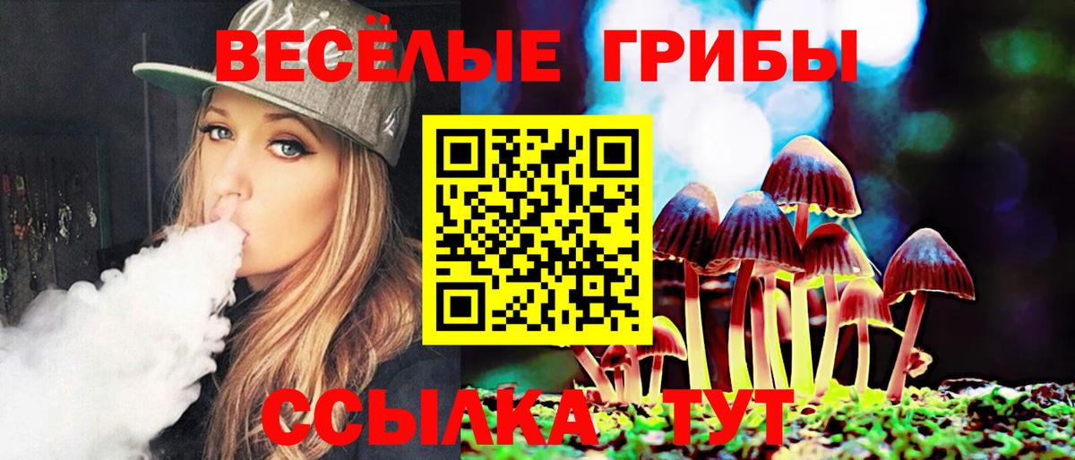 Галлюциногенные грибы MAGIC MUSHROOMS  Вход с VPN  Тосно 