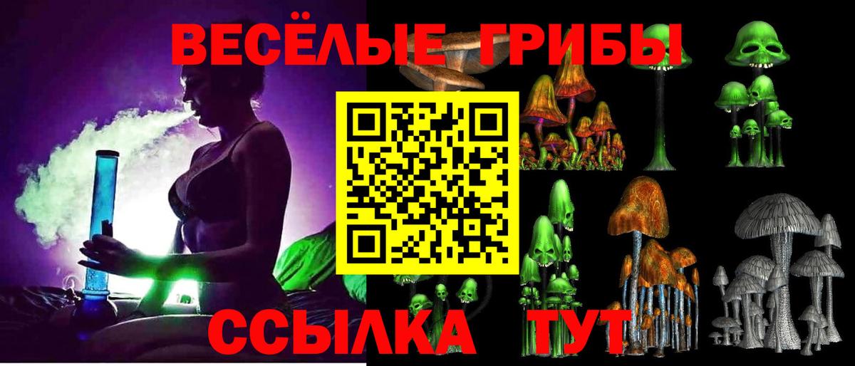 Псилоцибиновые грибы мицелий  Тосно  Галлюциногенные грибы Magic Shrooms 